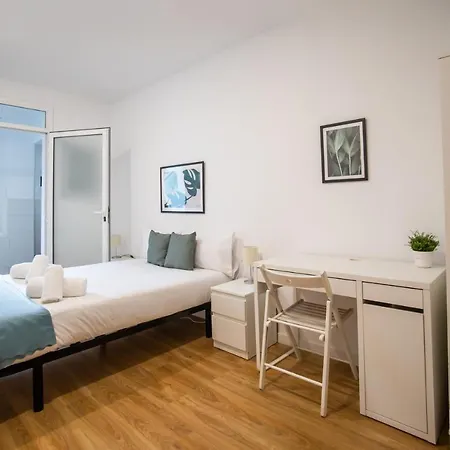 2sic1033 - Bright Flat Near Sagrada Familia *
